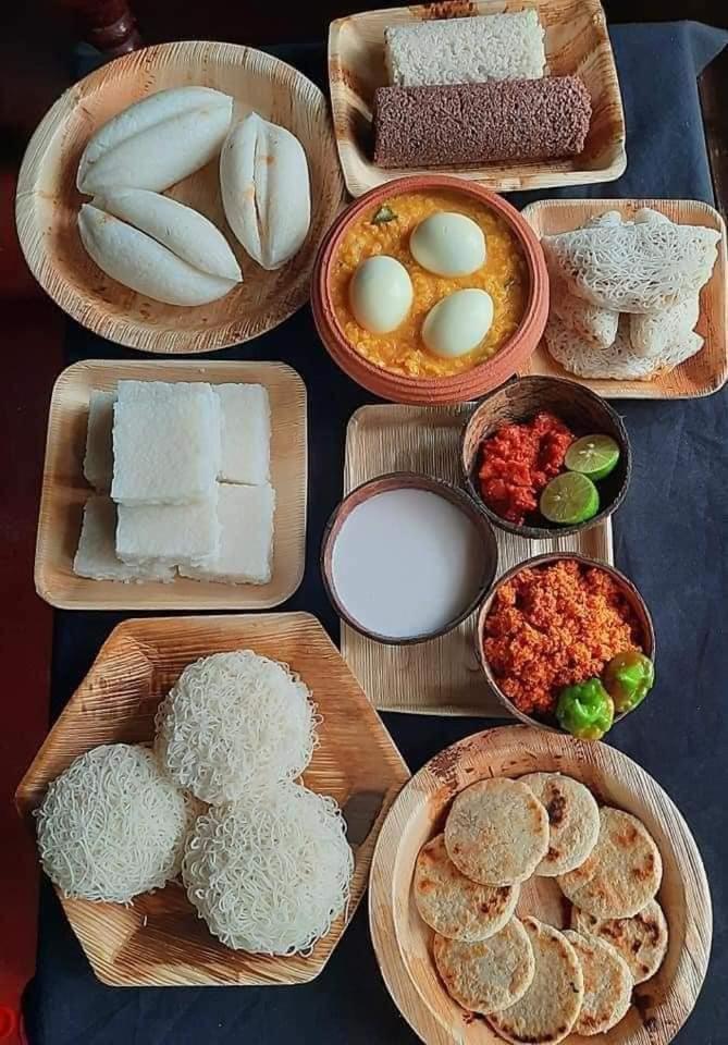 Kottamba Yala Stay & Safari 티사마하라마 외부 사진